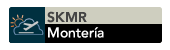 METAR SKMR Montería