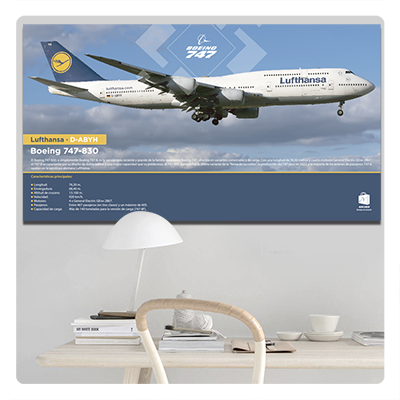 afiches aviones, posters, cuadros y retablos de helicópteros, fotos boeing 737, B737, b737